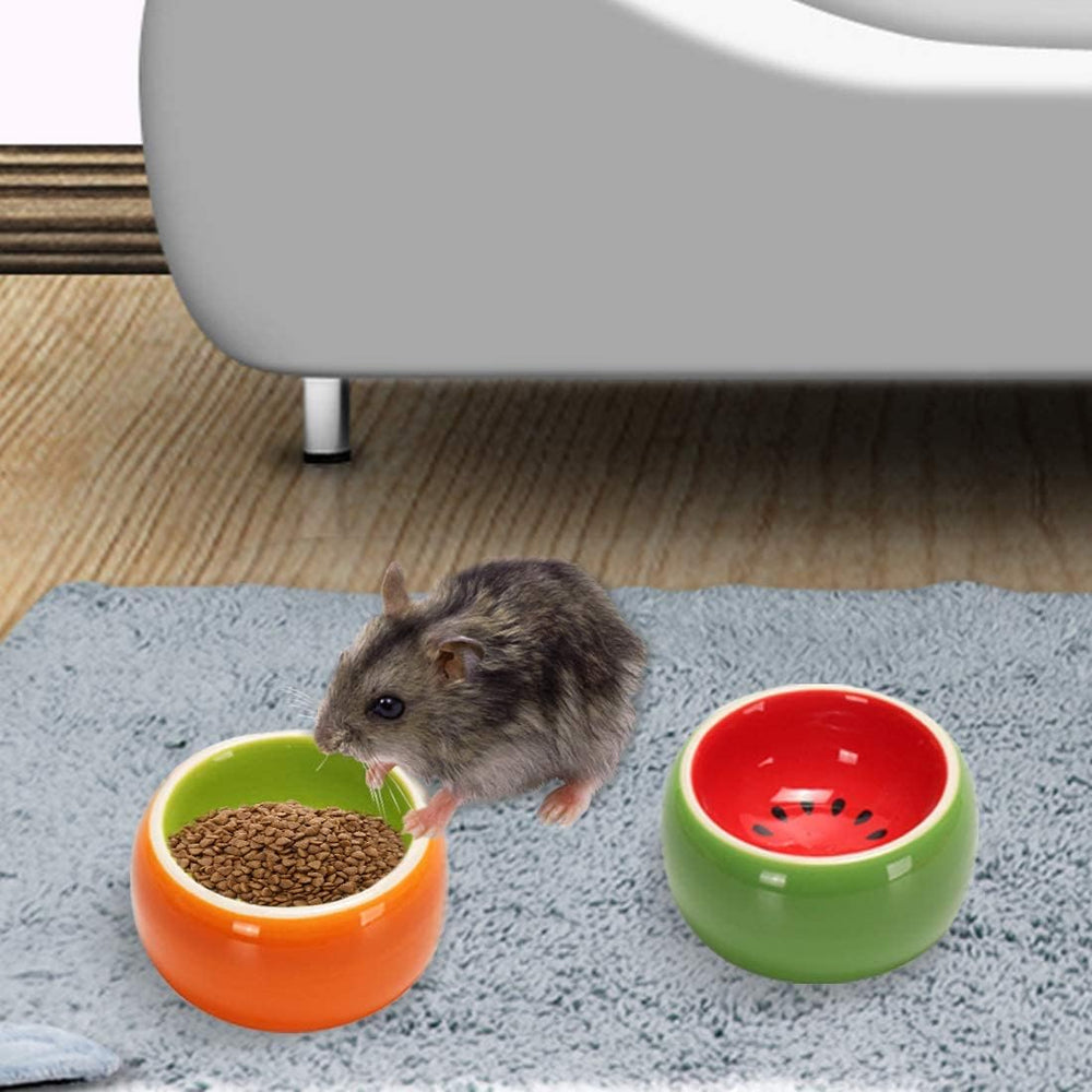 Hamiledyi anti-overturn ceramic bowl stays put during exploration
