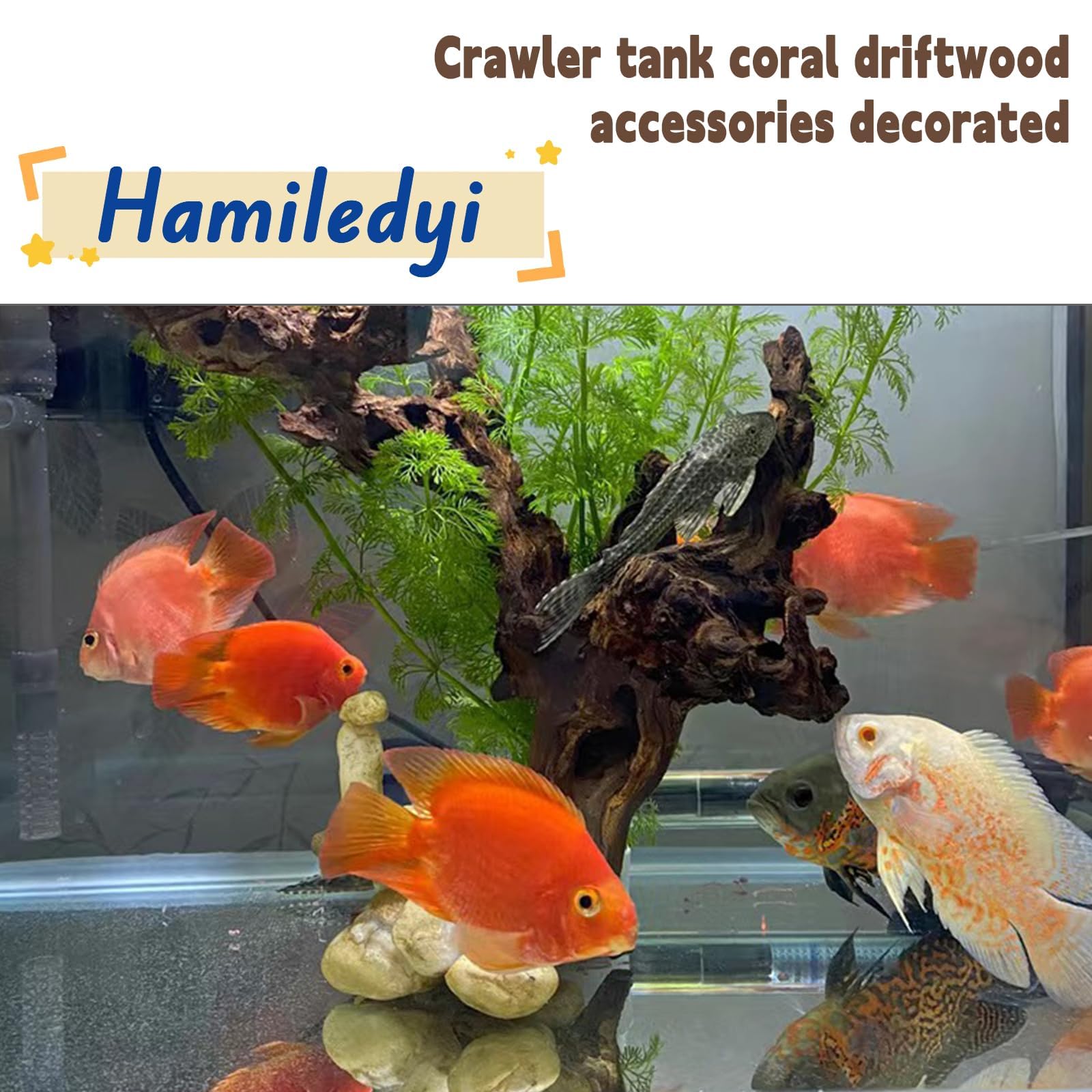 Hamiledyi driftwood branch pieces set enhances hiding spots for fish