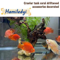 Hamiledyi driftwood branch pieces set enhances hiding spots for fish