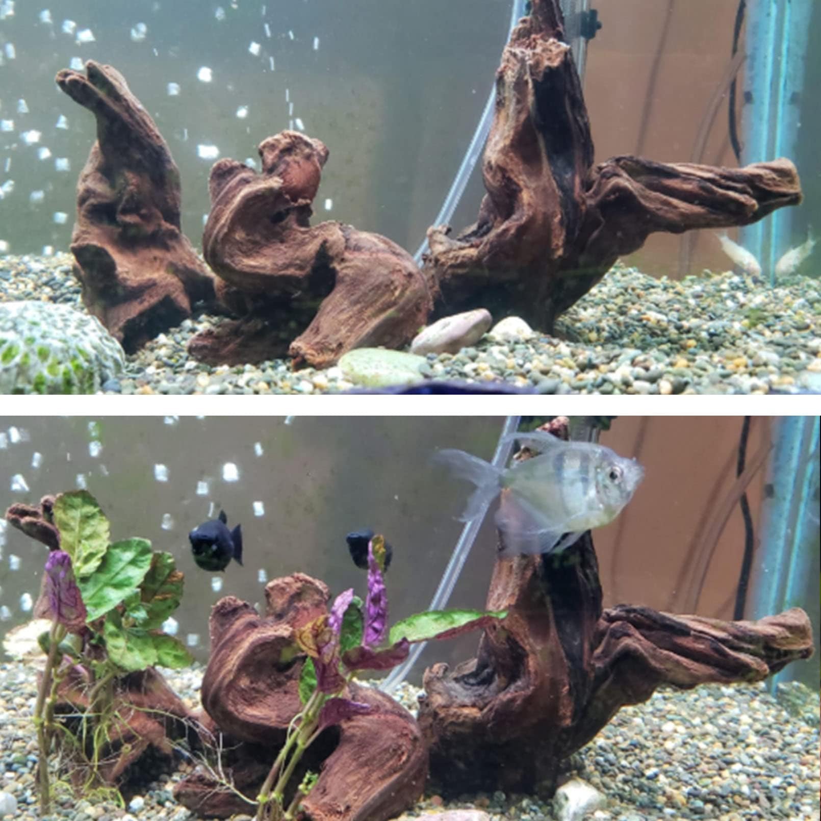 Hamiledyi aquarium driftwood multiple-piece set as versatile focal points