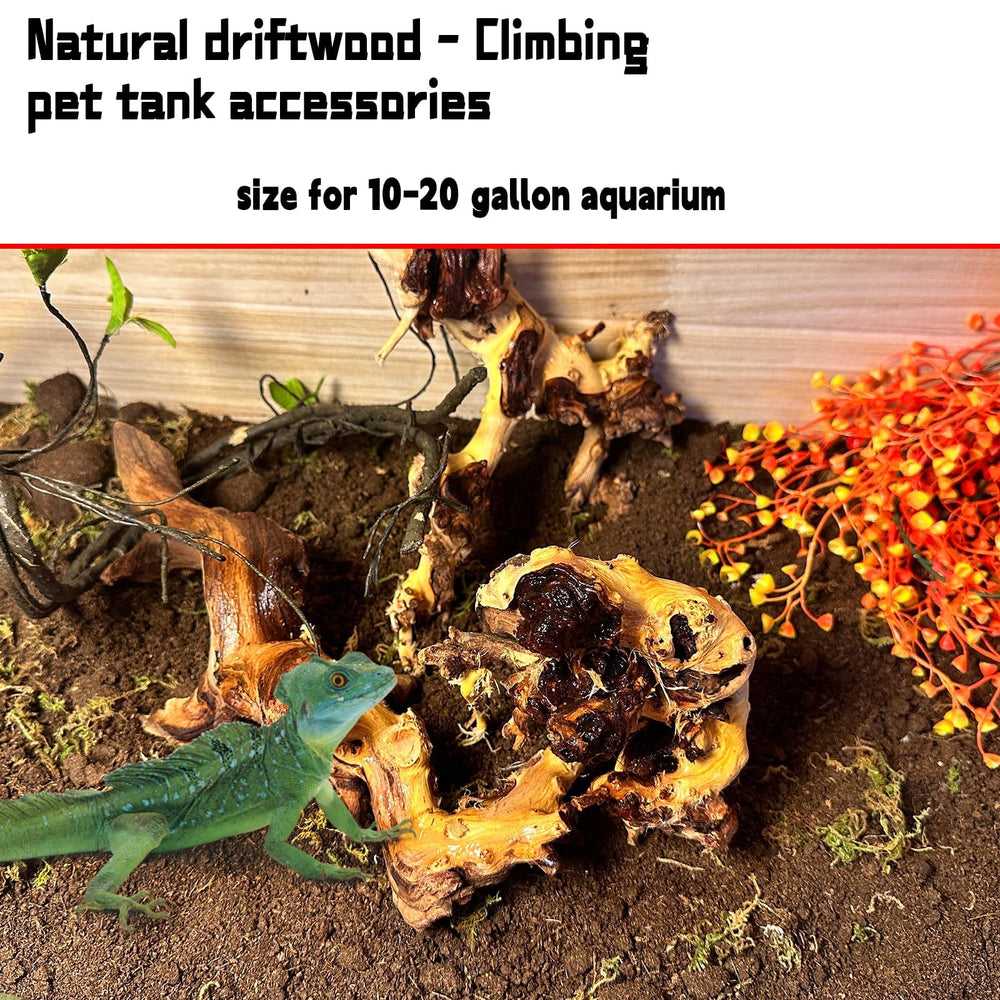 Hamiledyi driftwood tank ornament anchors moss for a greener aquarium