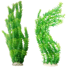 Hamiledyi aquarium plants with bright green leaves for a vibrant maintenance-free tank focal point.