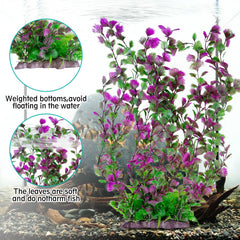 Hamiledyi plant in tank demonstrates easy maintenance and enduring color.