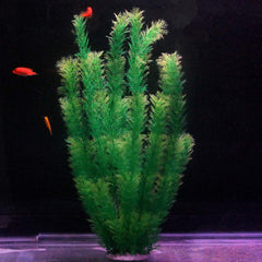 Hamiledyi two-pack green aquarium plants enhance realism without pruning or fertilizer.