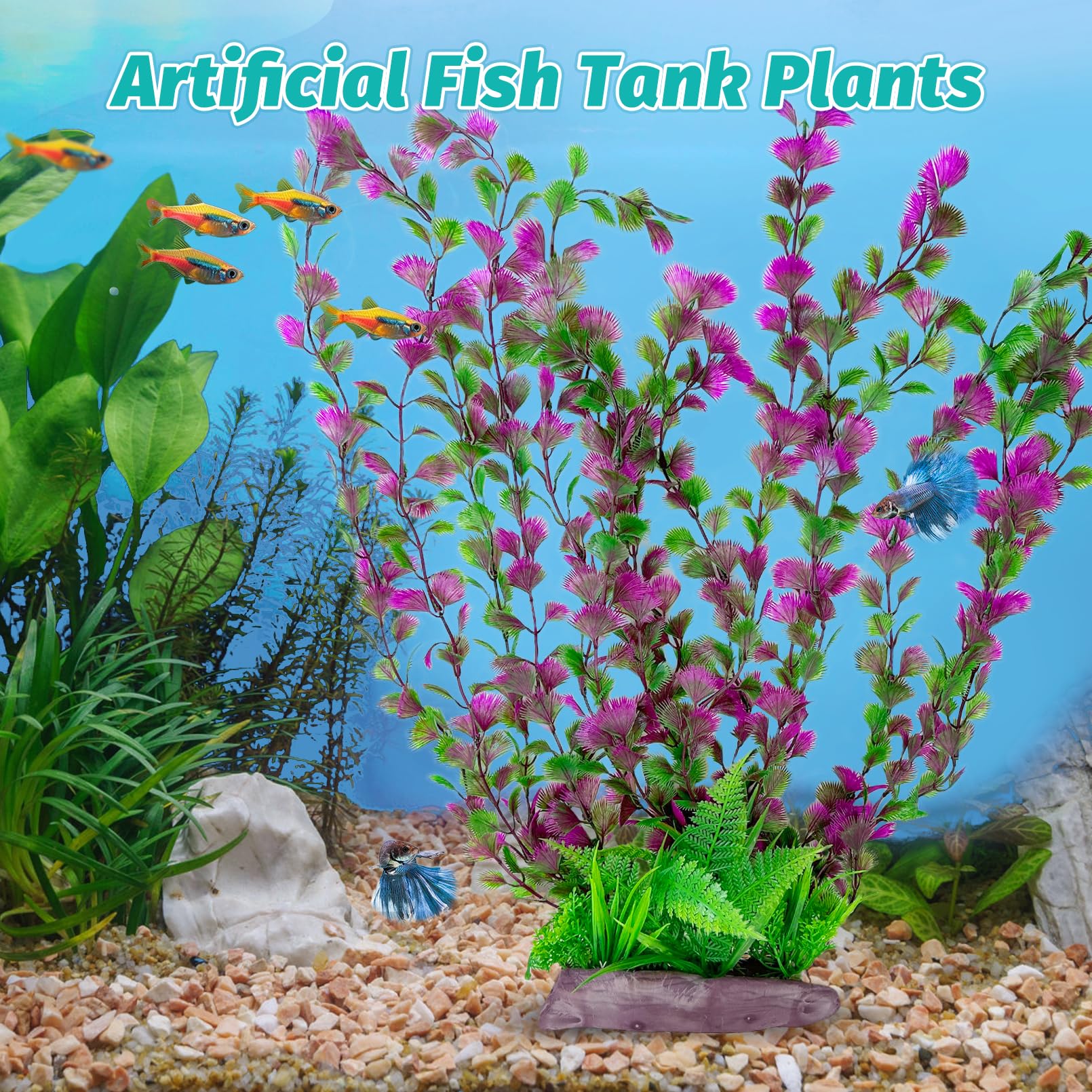 Hamiledyi vibrant emerald-green plant enhances freshwater or saltwater setups.