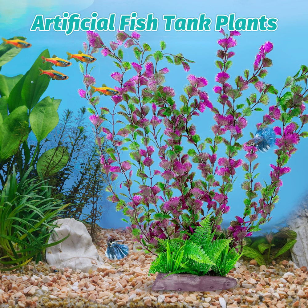 Hamiledyi vibrant emerald-green plant enhances freshwater or saltwater setups.