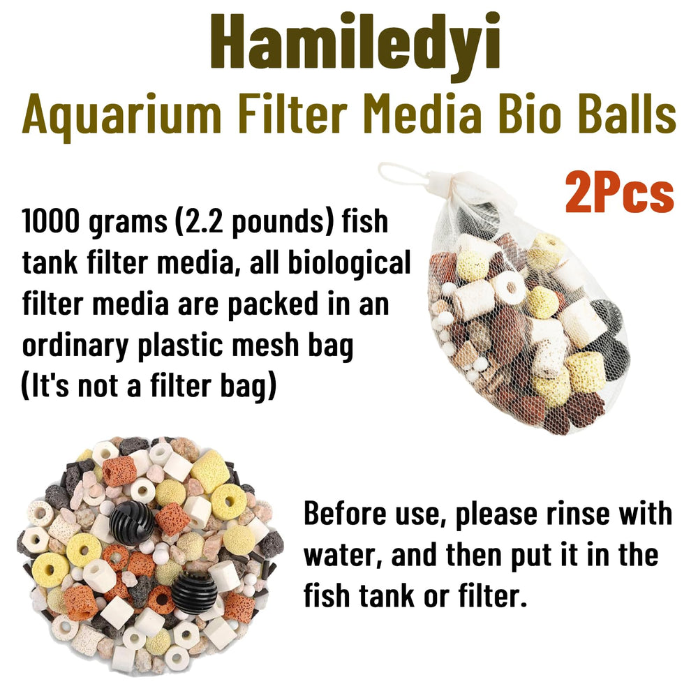 Hamiledyi water clarity image hints potential improvements in aquarium appearance.