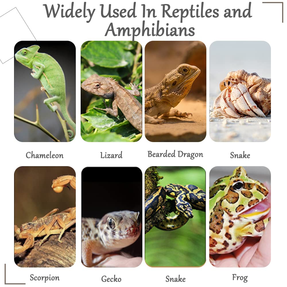 Hamiledyi bearded dragon habitat decor vine for enrichment