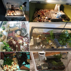 Hamiledyi bio balls and ceramic rings close-up highlight biofiltration benefits for clear water.