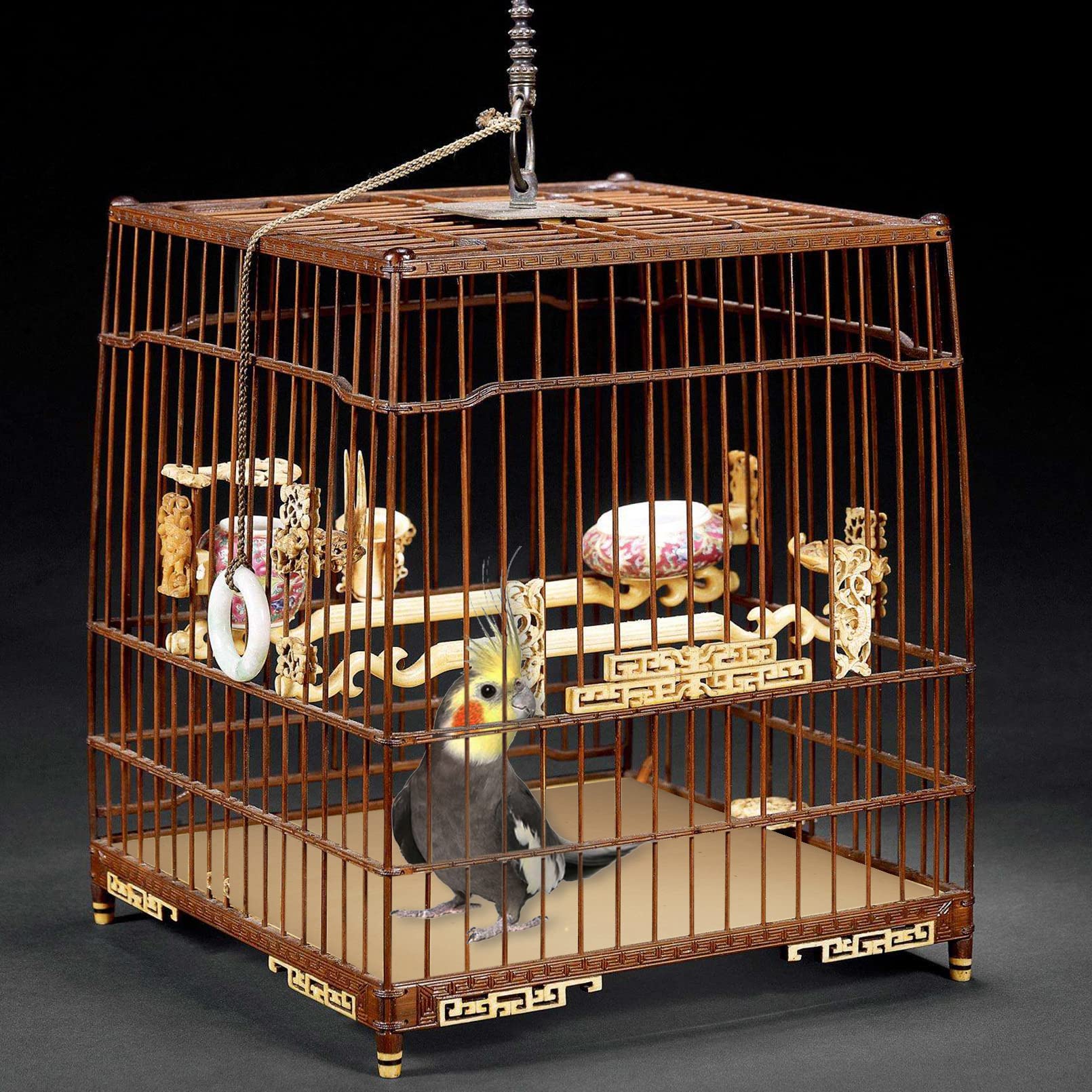 Hamiledyi bird gravel paper being laid in a cage demonstrates tidy waste containment.