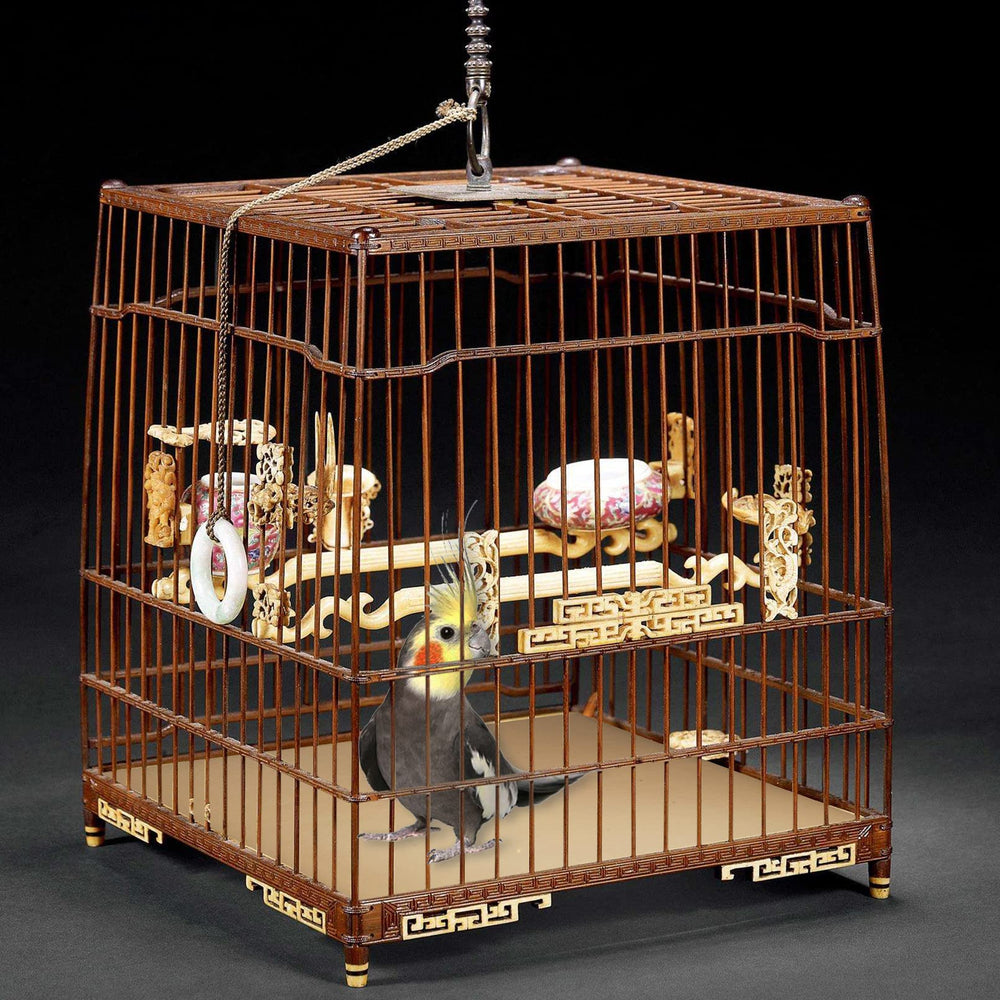 Hamiledyi bird gravel paper being laid in a cage demonstrates tidy waste containment.
