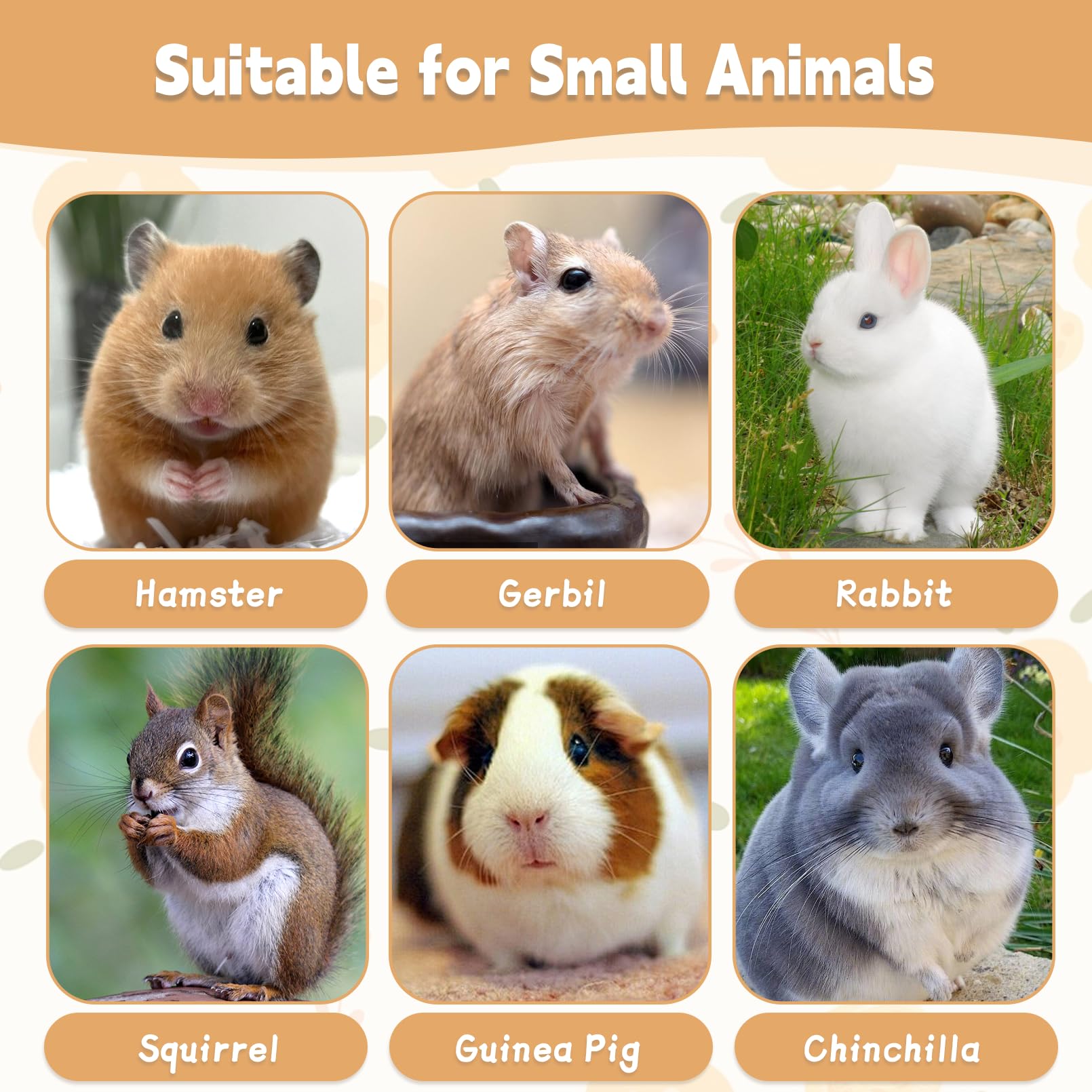 Hamiledyi lava-blocks-enrichment scene highlights safe, durable chew toys for small animals.