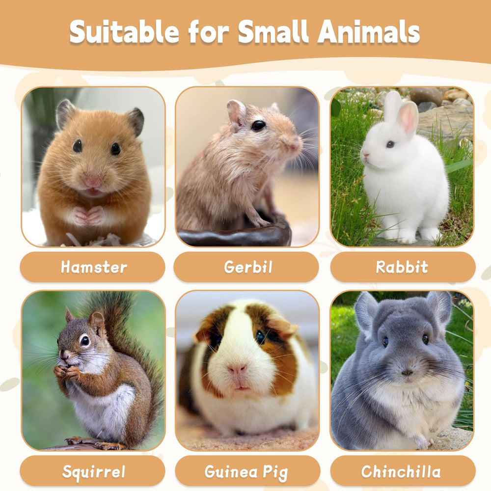 Hamiledyi lava-blocks-enrichment scene highlights safe, durable chew toys for small animals.