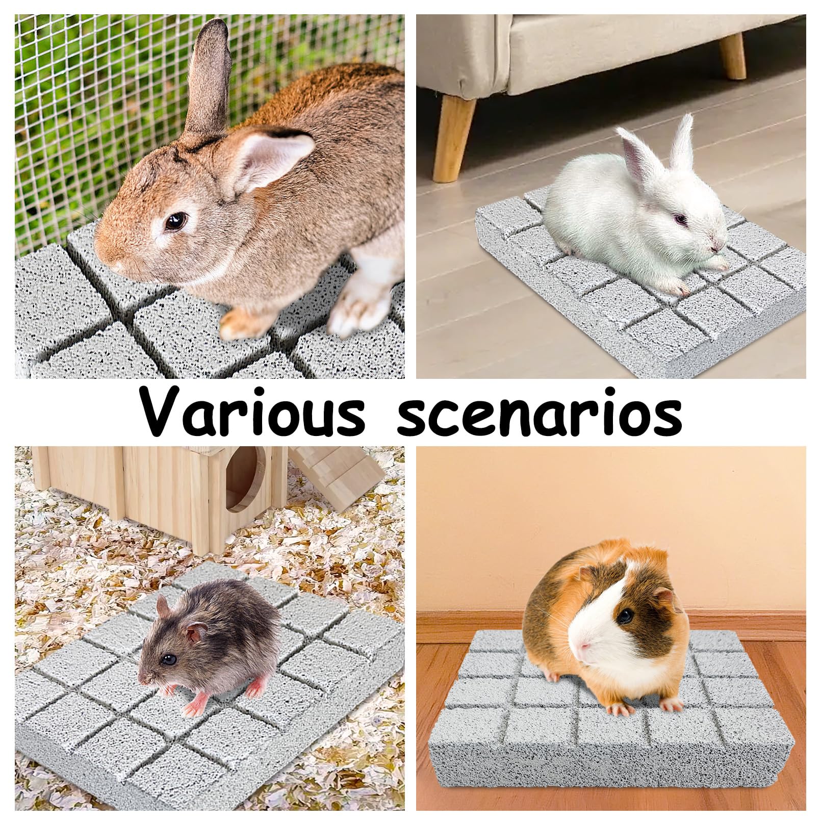 Hamiledyi cage interaction playtime showing pet engaging with pads.