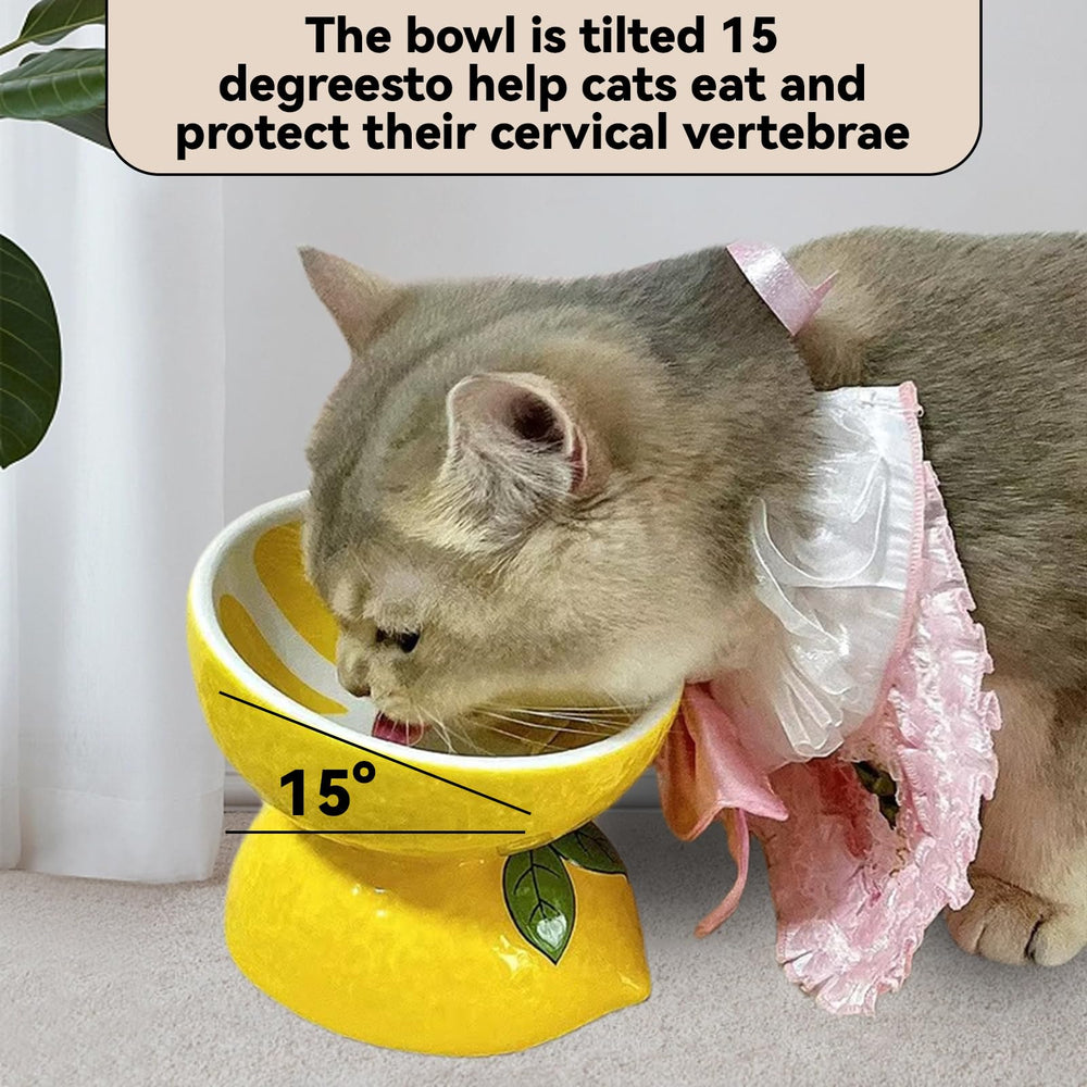 Hamiledyi raised cat bowl inner-lip detail prevents splashes during meals