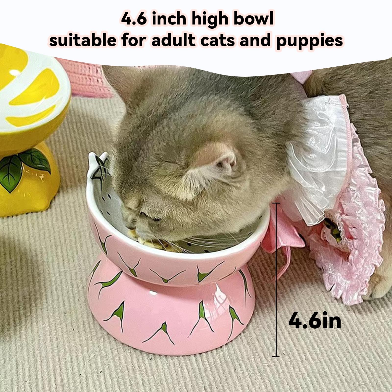 Hamiledyi smooth glaze resists paw scratches for durable daily use