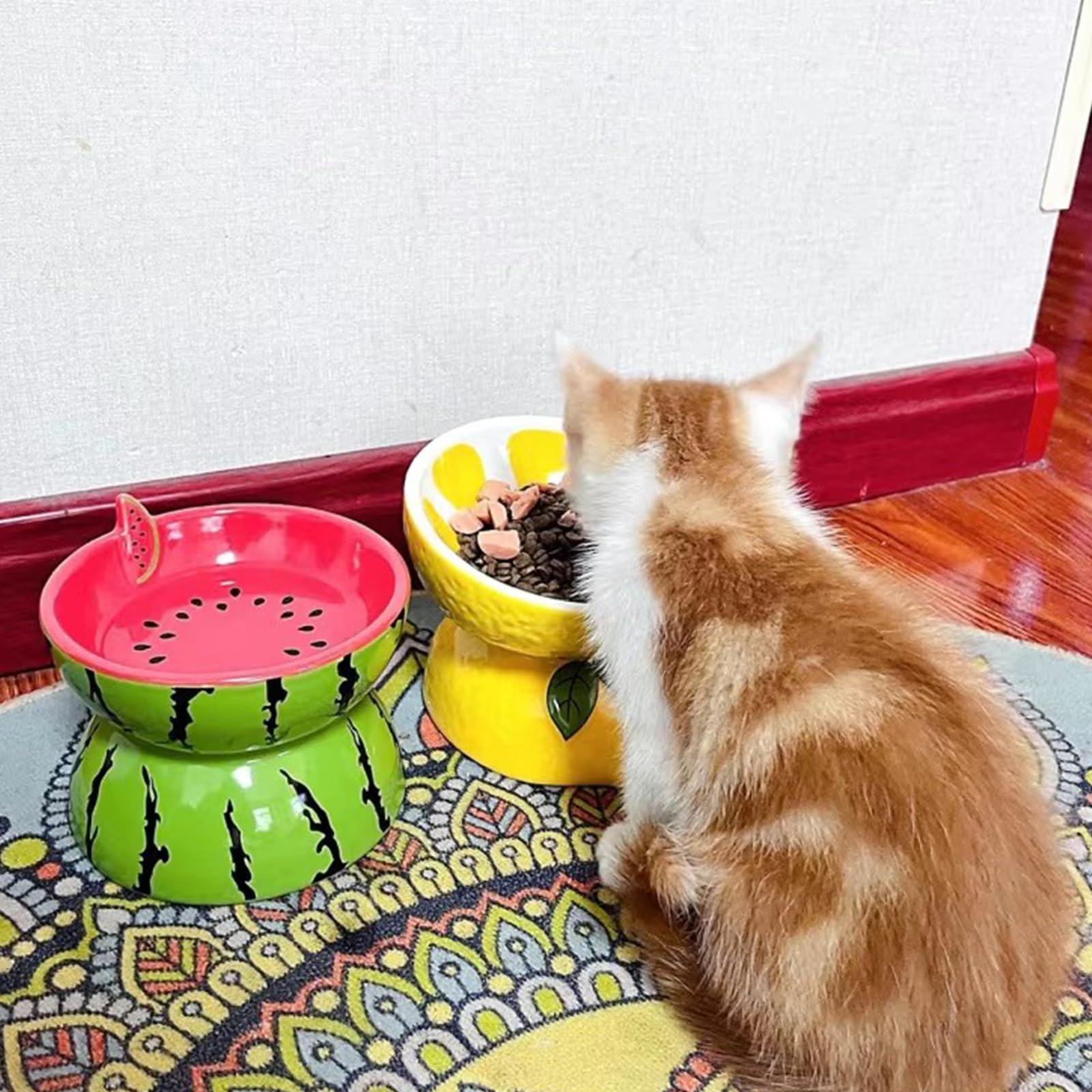 Hamiledyi ceramic raised cat bowl tilted-water with watermelon pattern keeps water accessible and spill-free