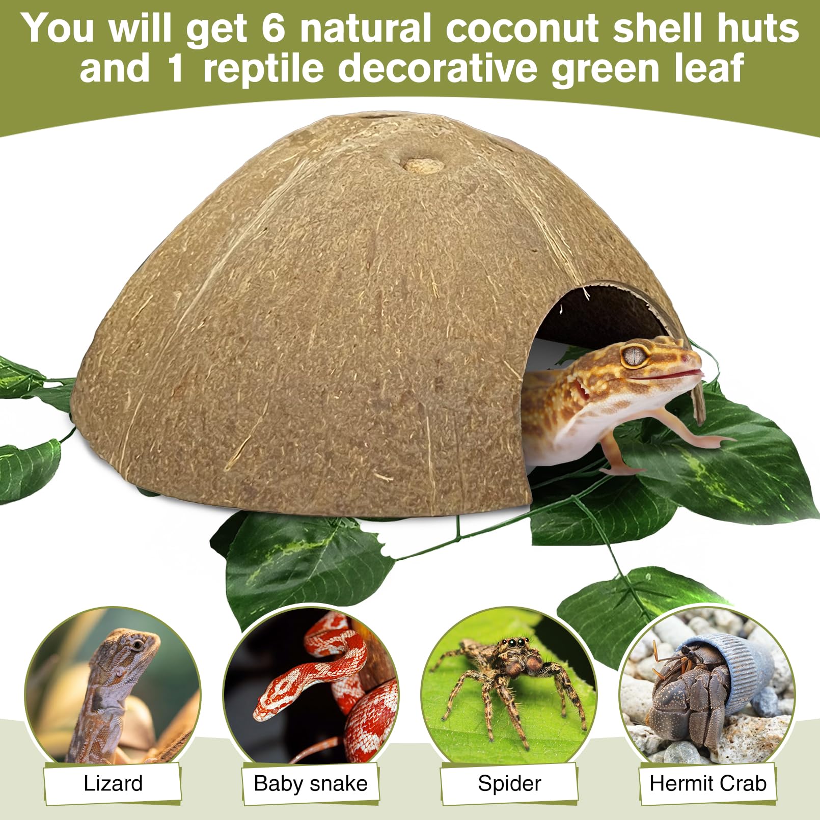 Hamiledyi coco-huts dusty surface; wash before use for clean setup.