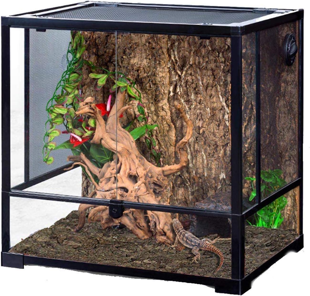 Hamiledyi cork terrarium background close-up highlights natural cork texture and realistic habitat feel.