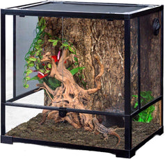 Hamiledyi cork terrarium background close-up highlights natural cork texture and realistic habitat feel.