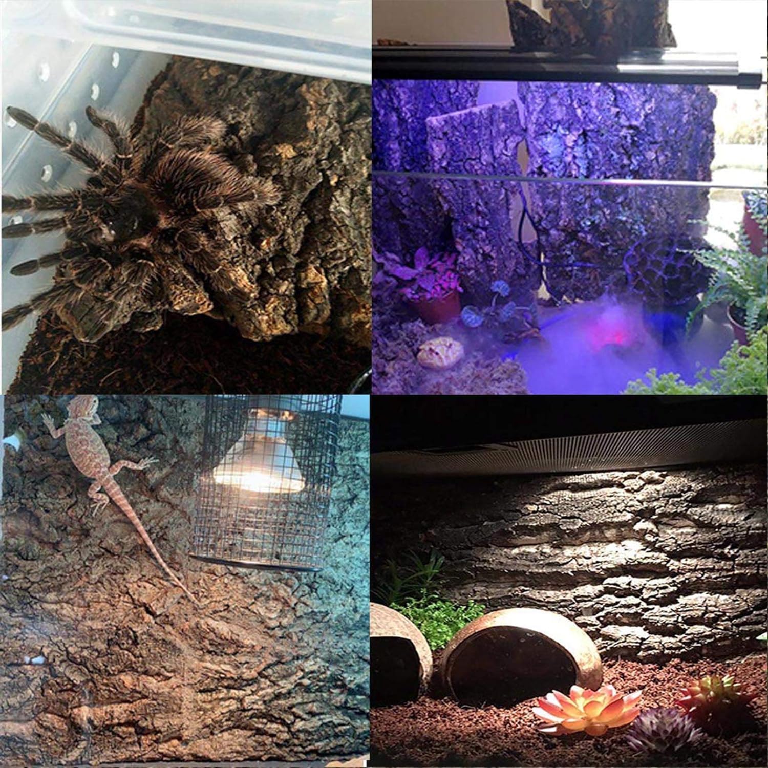 Hamiledyi cork terrarium background 4pc setup demonstrates versatile backdrop and display options.