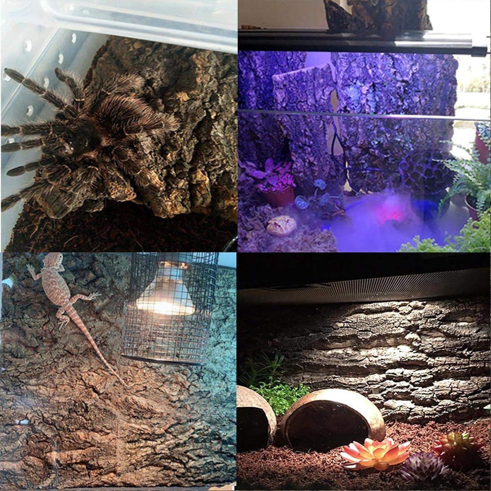 Hamiledyi cork terrarium background 4pc setup demonstrates versatile backdrop and display options.