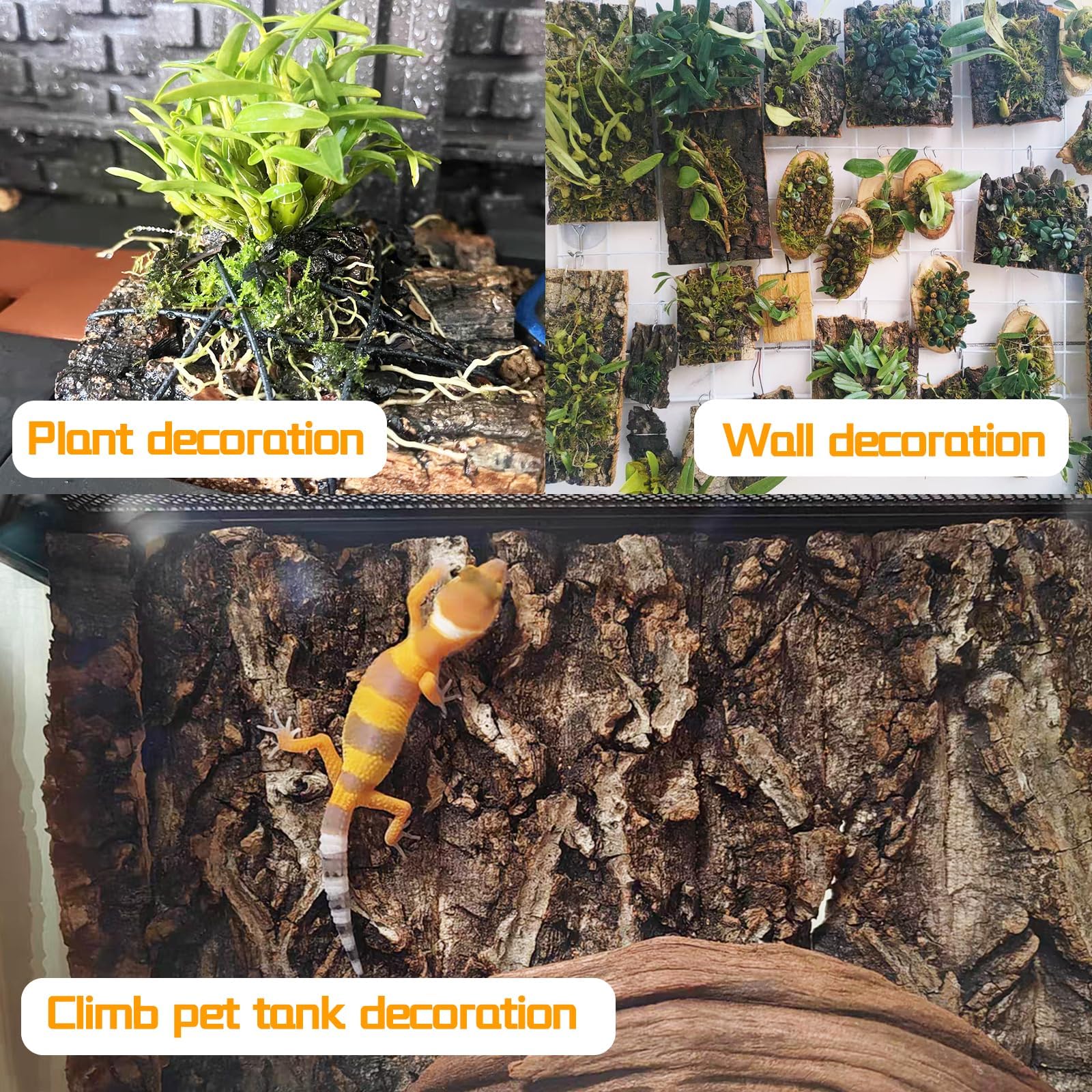 Hamiledyi cork terrarium climbing mat setup provides a natural grip surface for reptiles.