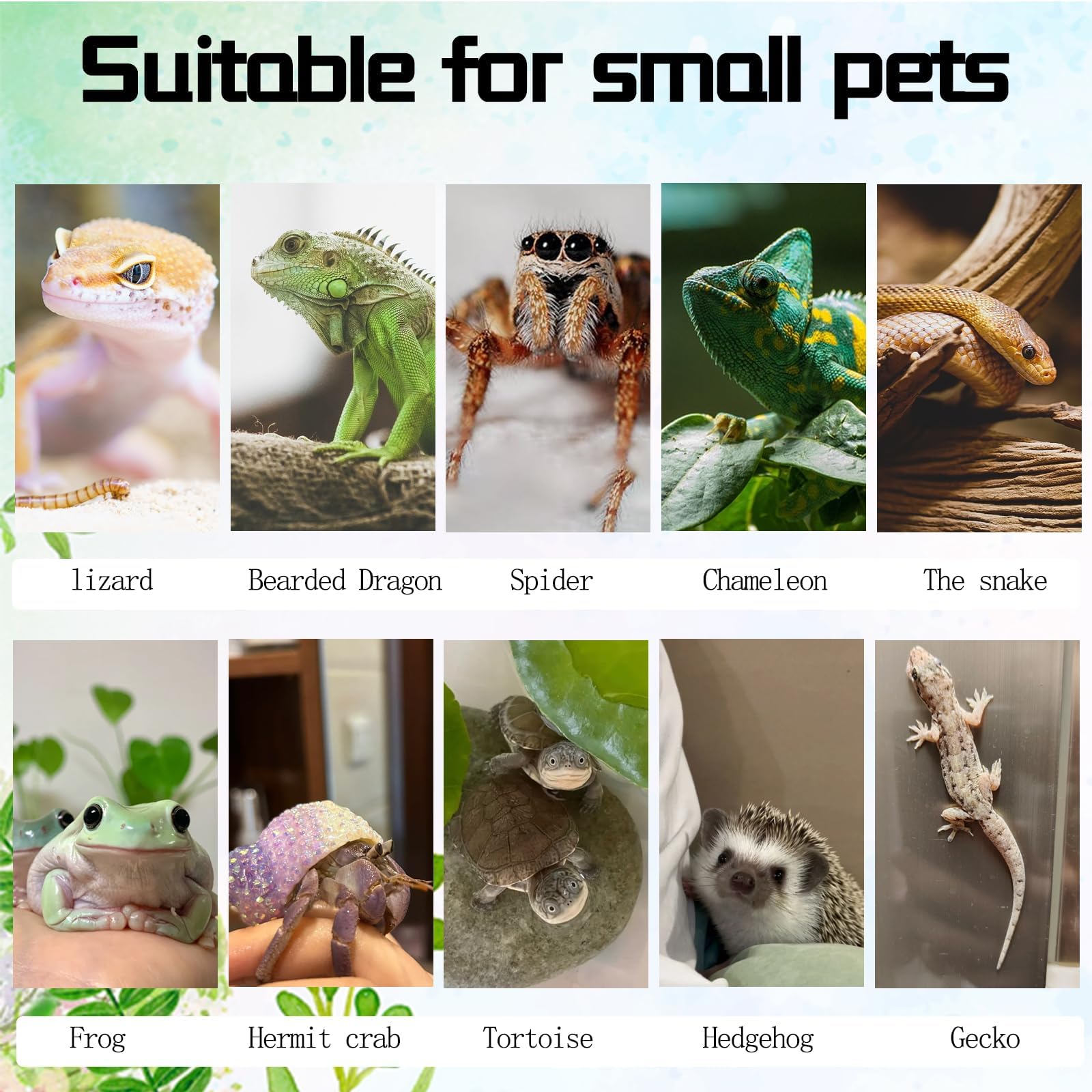 Hamiledyi cork terrarium habitat decor combines background and climbing mats for enrichment.