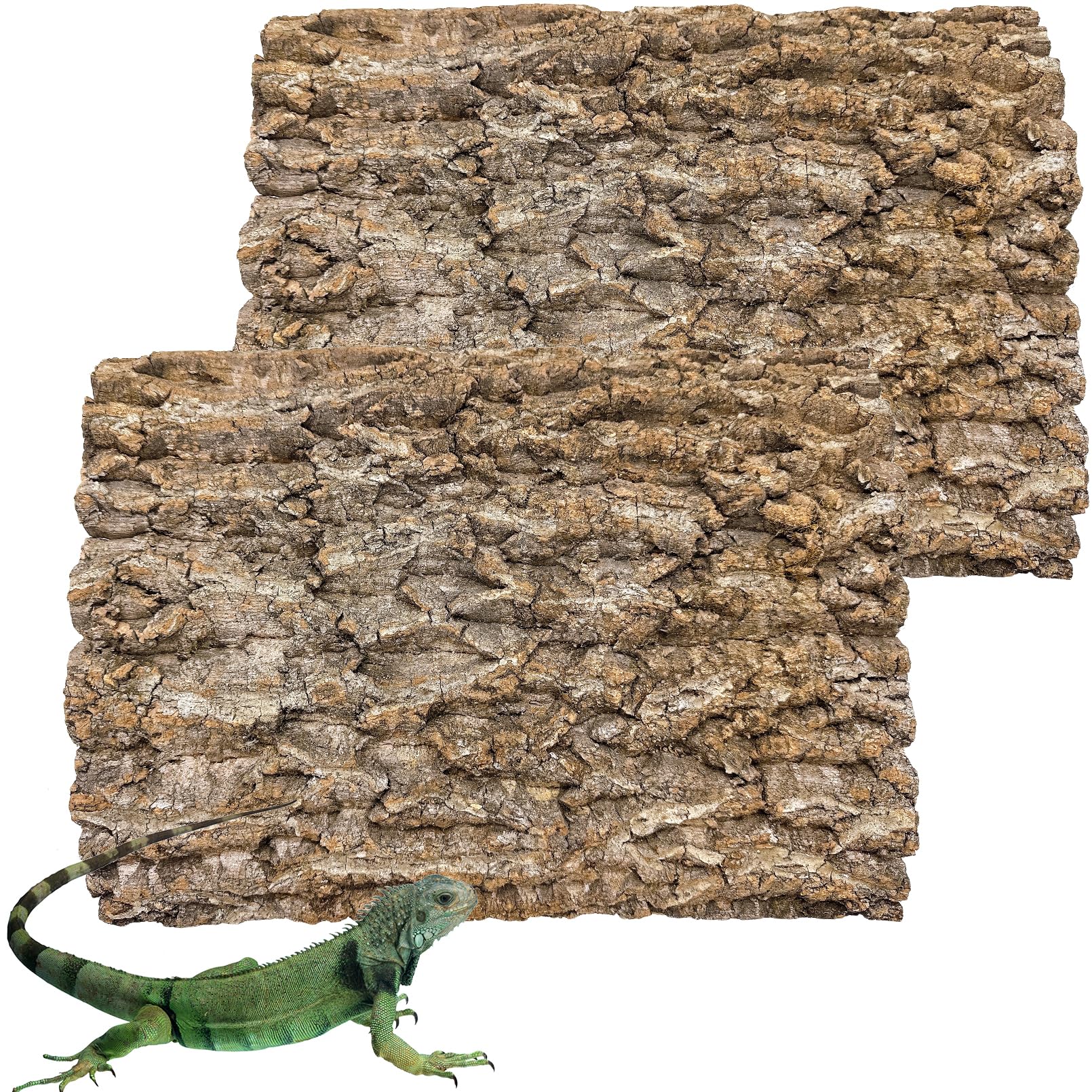 Hamiledyi cork terrarium background adds natural texture to elevate enclosure aesthetics.