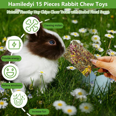 Crunchy chew texture aiding natural gnawing behavior in small animals