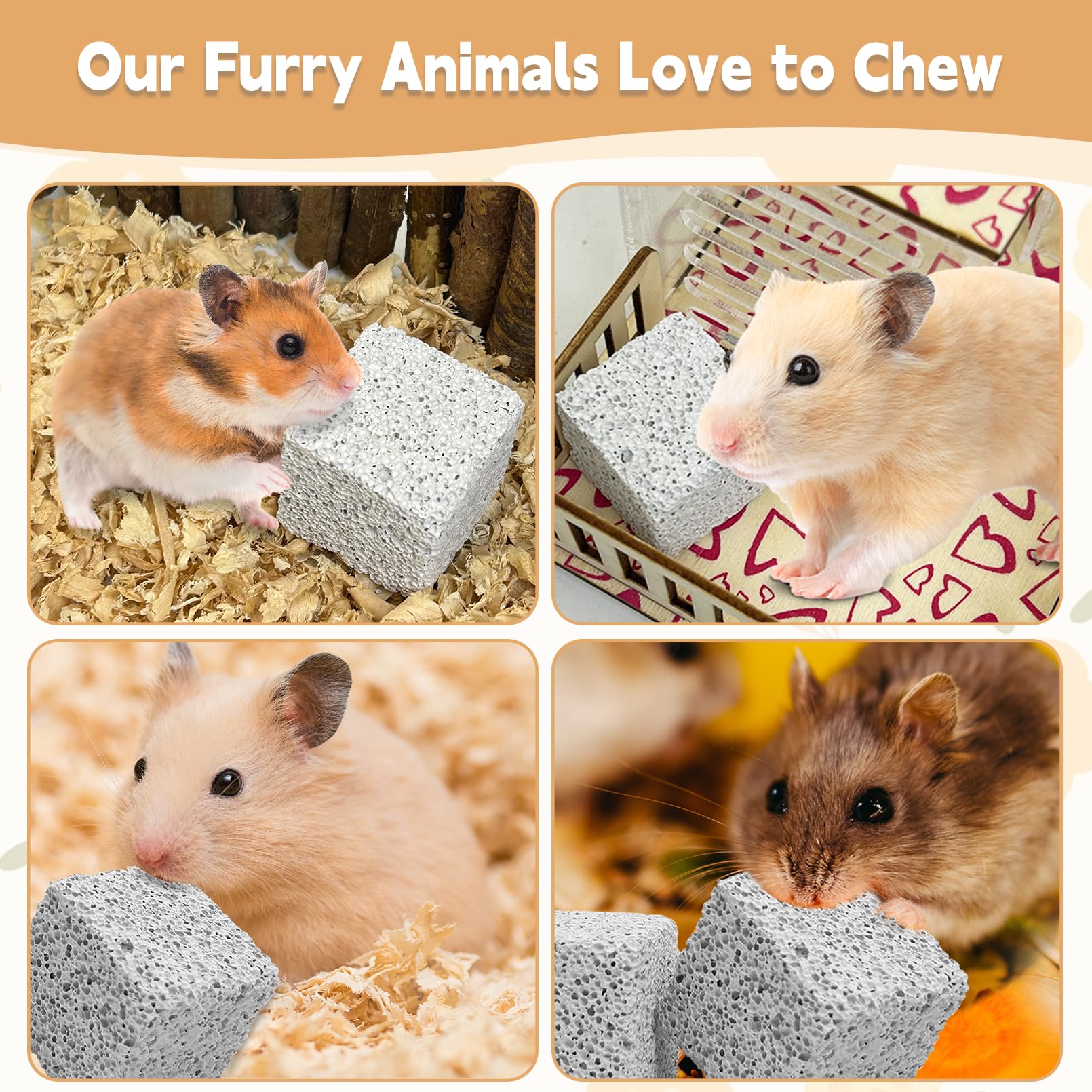 Hamiledyi dental-health-potential-use image suggests long-term wear helps maintain even incisor wear.