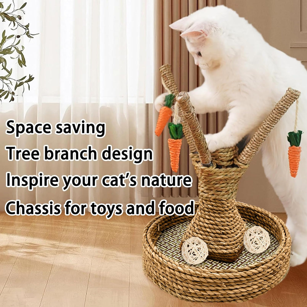 Hamiledyi detachable parts simplify assembly and storage between play sessions.