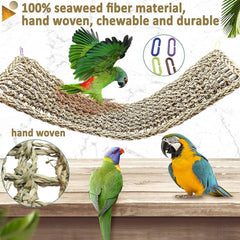 Hamiledyi DIY bird-foraging wall setup with hooks and toys.