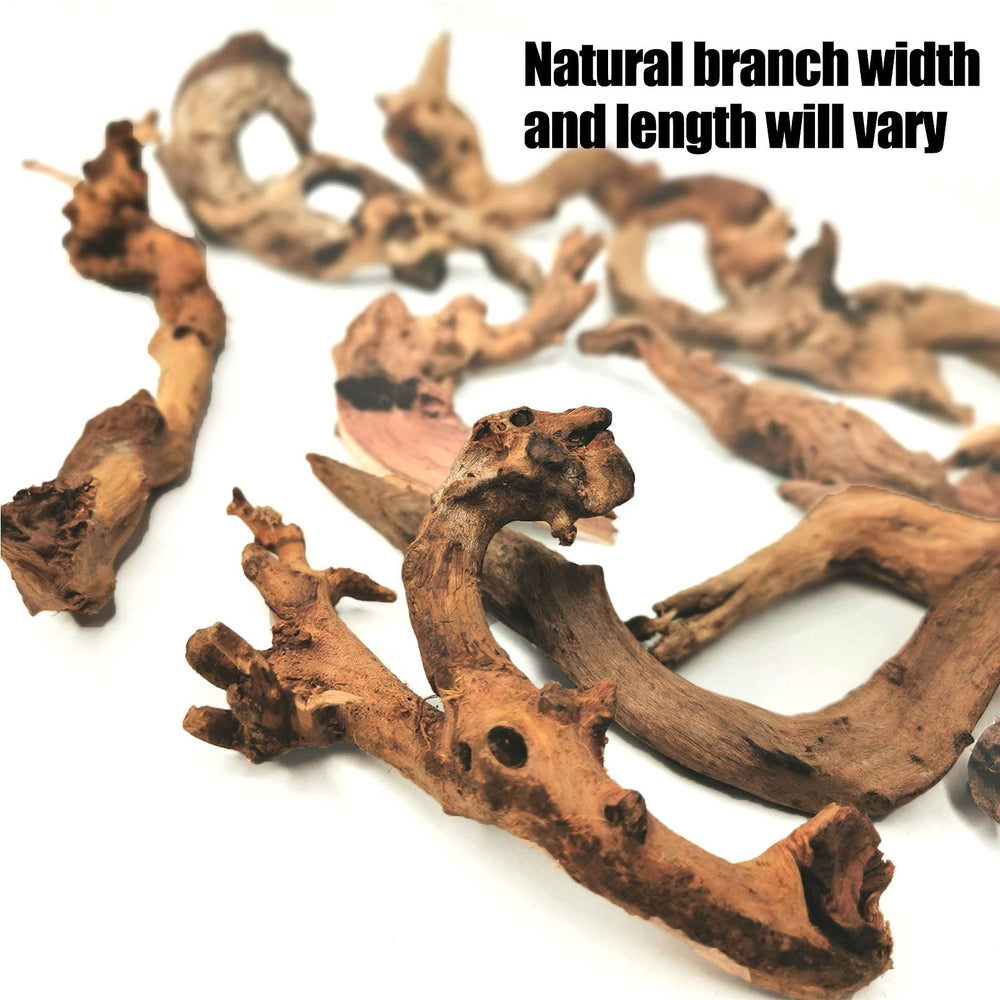 Hamiledyi driftwood-in-tank-water-closeup shows sinking wood ready for aquatic layouts.