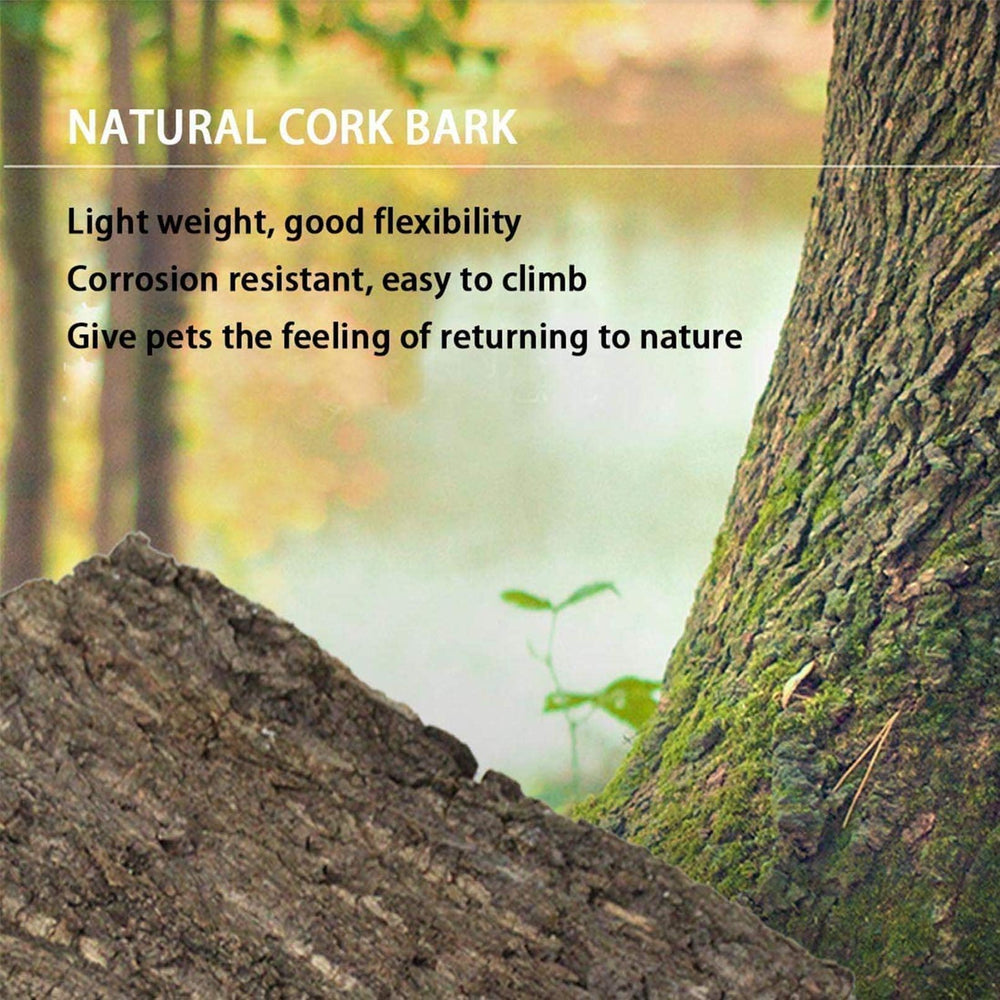 Hamiledyi double-pack cork bark features versatile pieces for background and playground use.