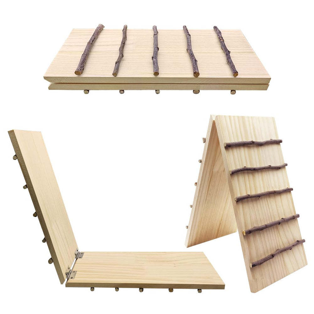 Hamiledyi dual-ramps-cage-connection demonstrates versatile access between habitat levels.