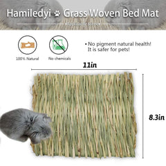 Hamiledyi foraging bird mats invite parrots to explore and peck safely.