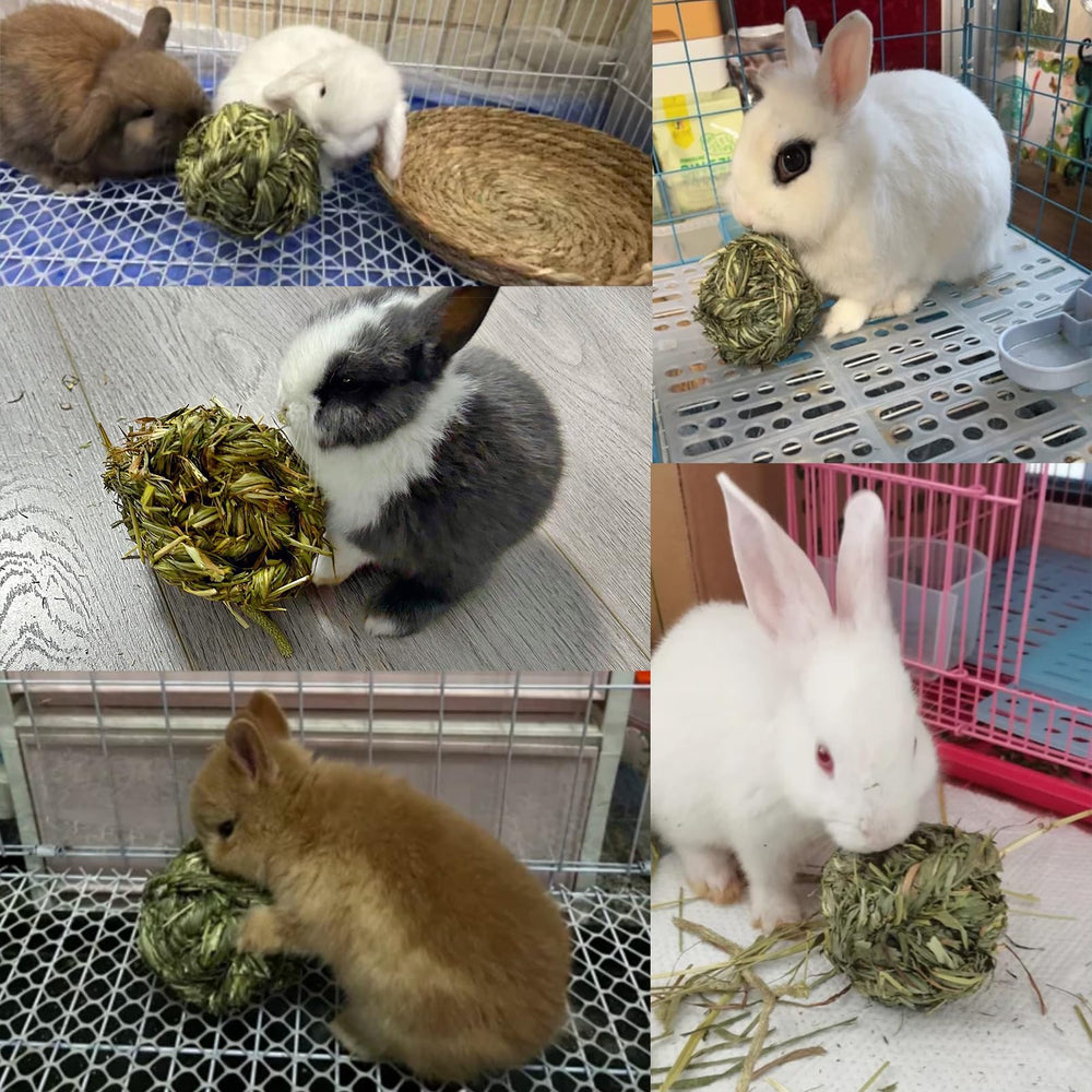 Hamiledyi four-pack Timothy grass balls offers variety for daily nibbling and exploration.