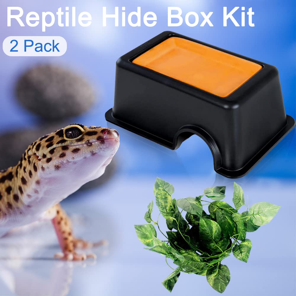 Hamiledyi gecko hiding cave with top ventilation enhances airflow when humidity is not required