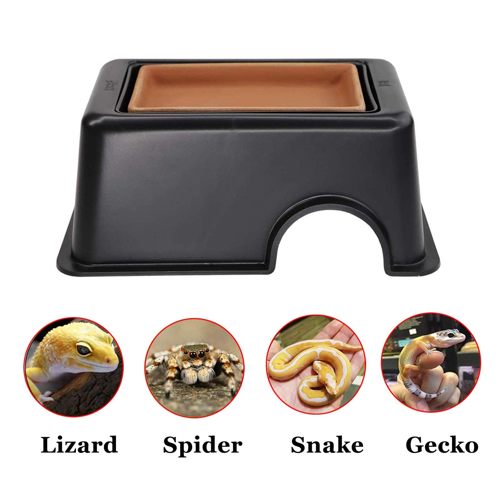 Hamiledyi gecko turtle-friendly hide box supports safe resting and privacy