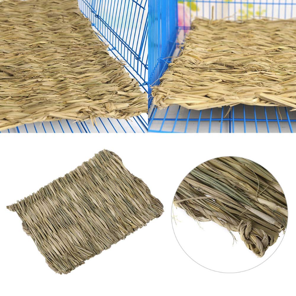 Hamiledyi grass mat pack3 pet-chewing moment illustrates boredom relief and teething wear.
