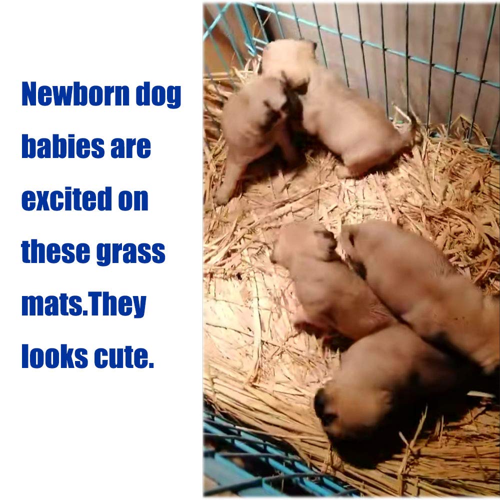 Hamiledyi grass mat pack3 use-in-bedding offers versatile small-animal bedding option.
