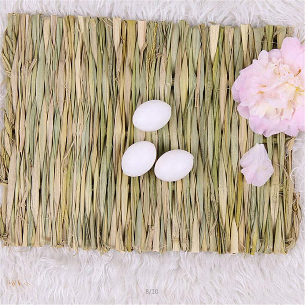 Hamiledyi small animal bedding mat supports gnawing and chewing