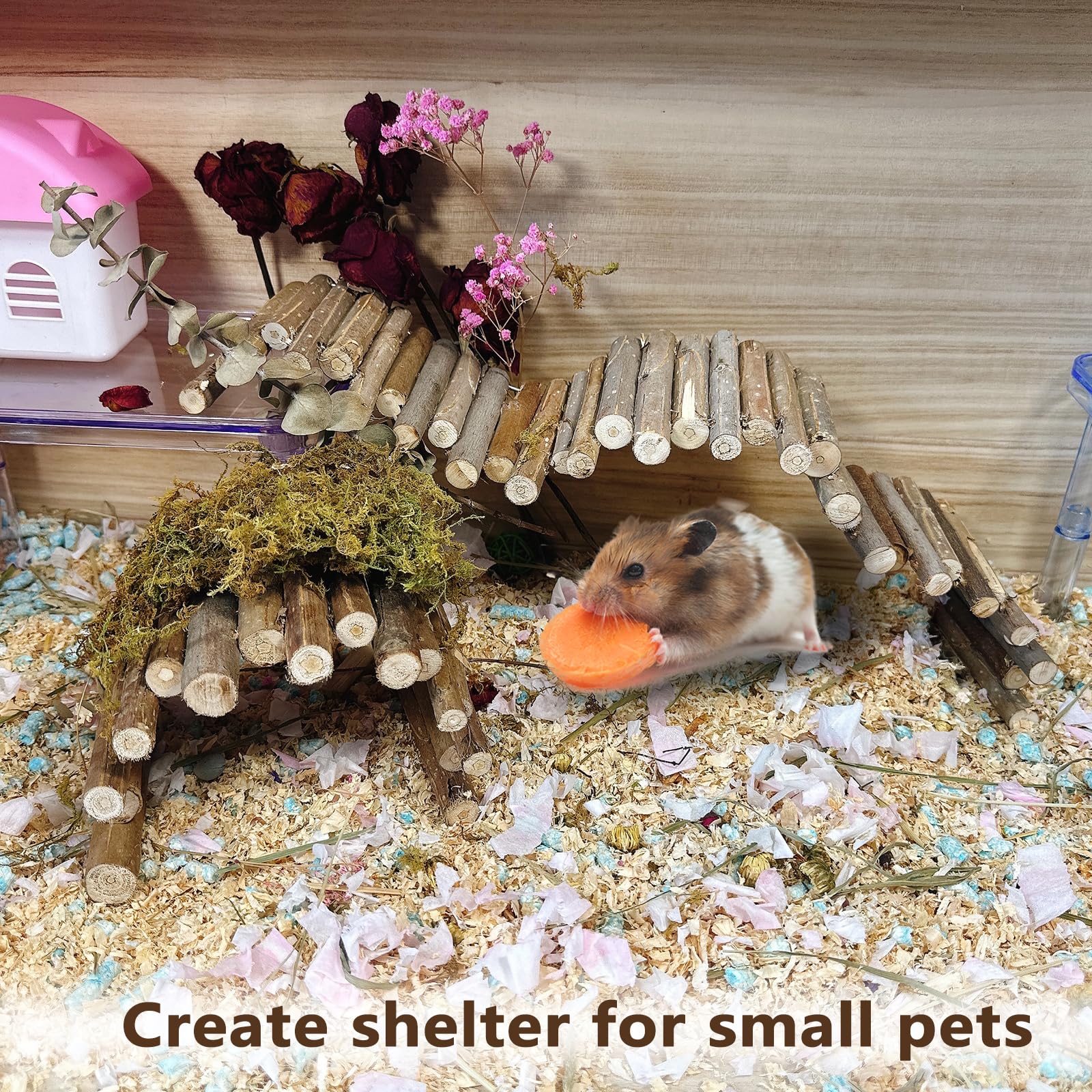 Hamiledyi hamster bridge vertical layout helps maximize cage real estate.