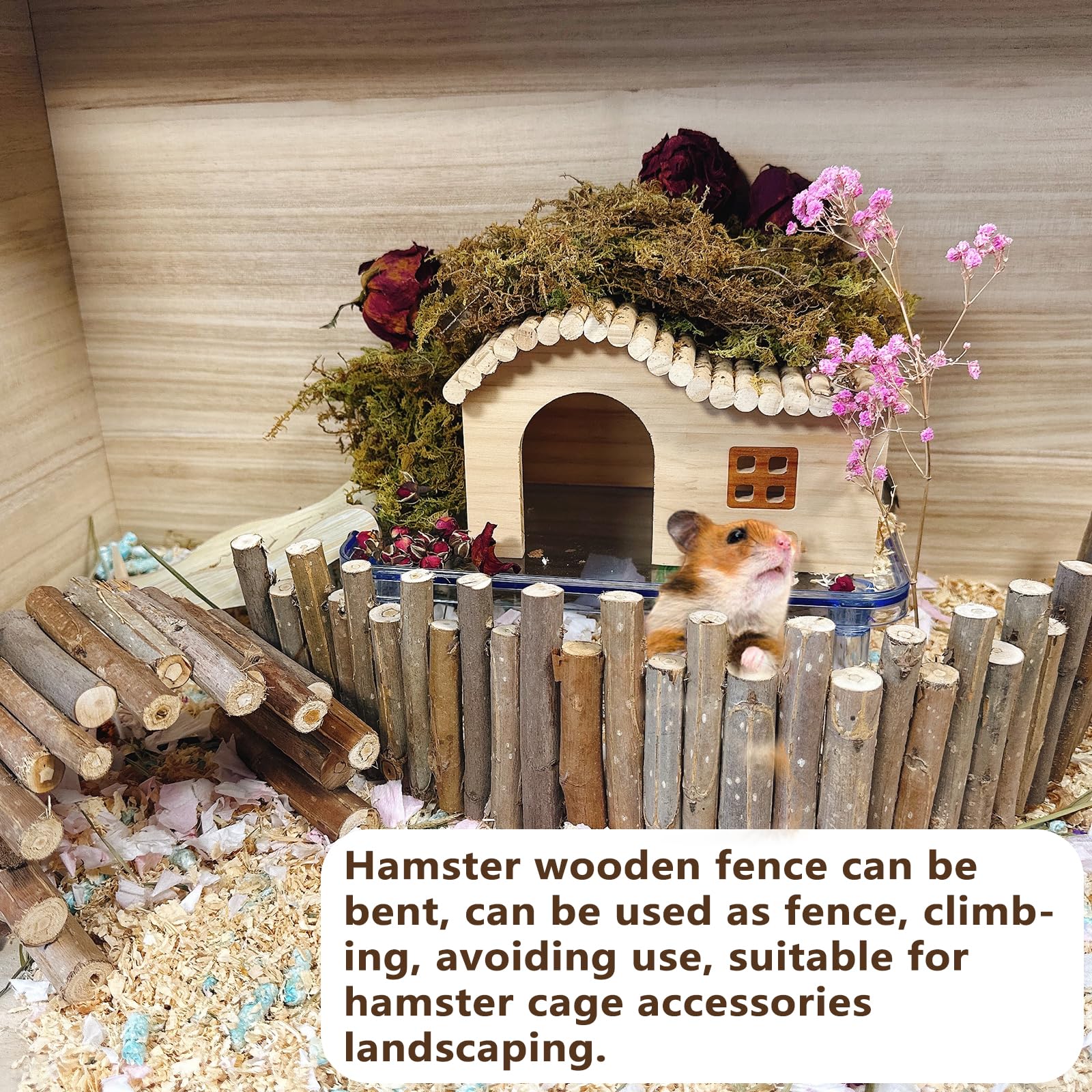 Hamiledyi hamster cage decor setup demonstrates versatile play area.