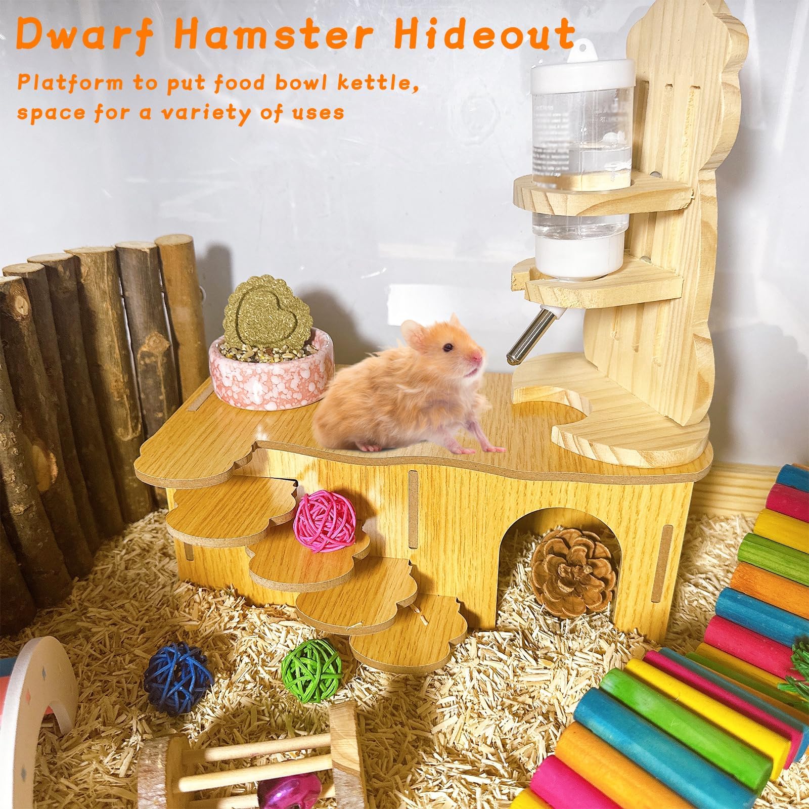 Hamiledyi hamster hideout two-room design for easy observation and exploration