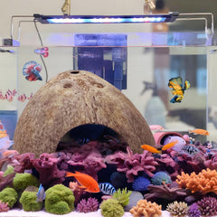 Hamiledyi leopard gecko tank setup featuring coconut huts for secure daytime retreats.