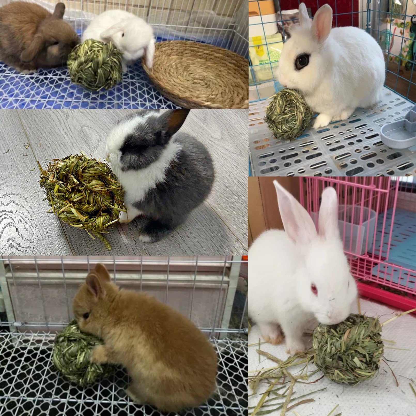 Hamiledyi multi-pet toy suitable for rabbits, guinea pigs, and more.