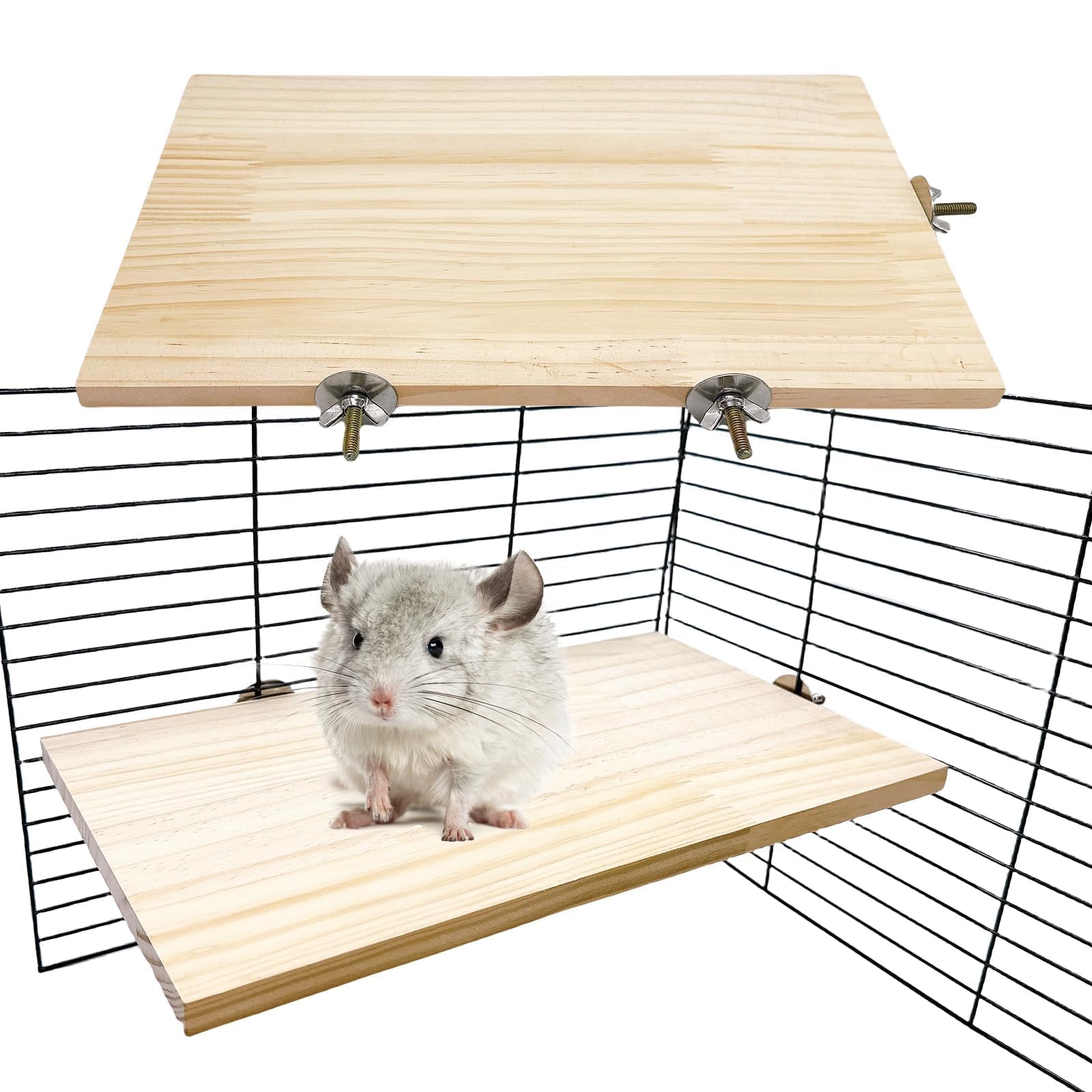 Hamiledyi multi-species perch stand enables playful exploration.