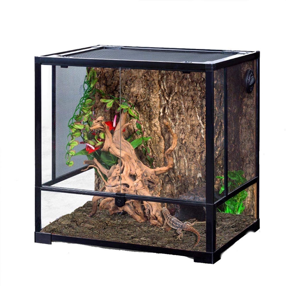 Hamiledyi natural cork bark backdrop brings realistic habitat vibes to terrariums.